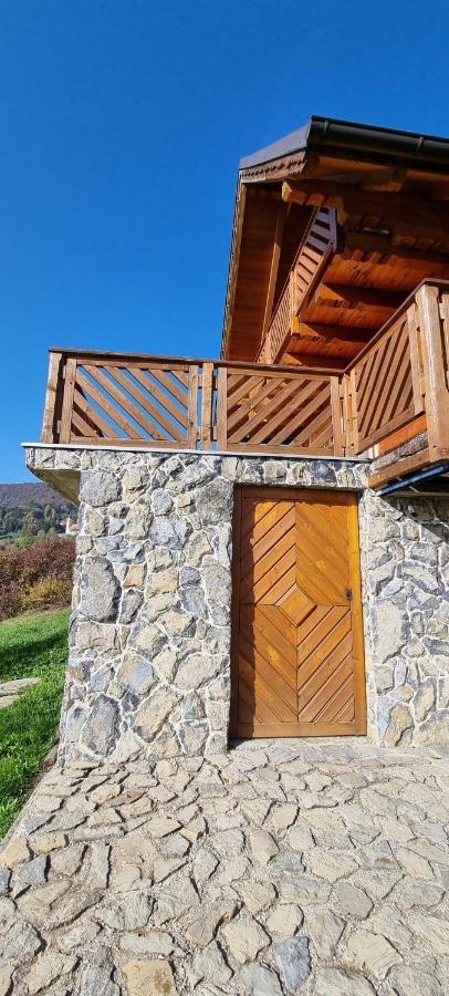 Villa Wine Panorama House à Jastrebarsko Extérieur photo