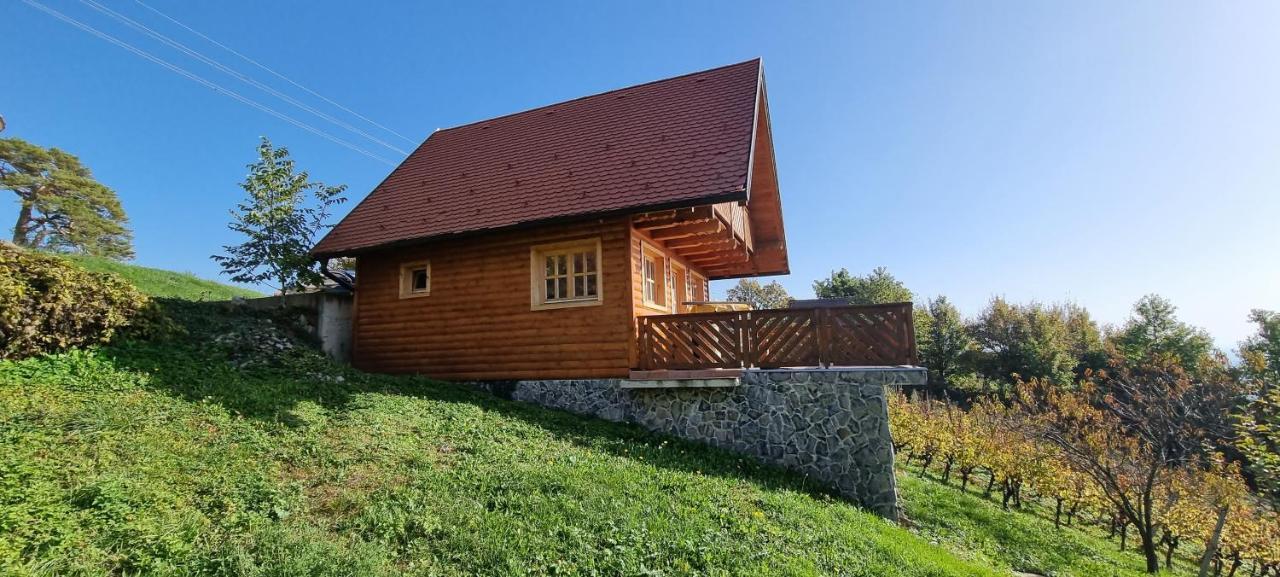 Villa Wine Panorama House à Jastrebarsko Extérieur photo