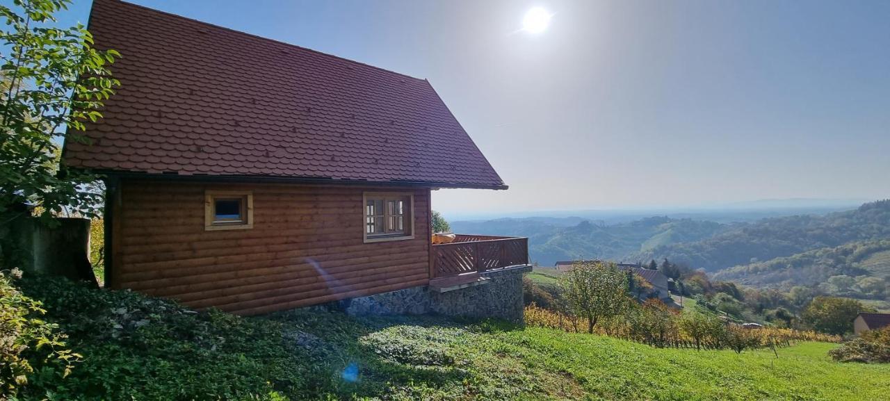 Villa Wine Panorama House à Jastrebarsko Extérieur photo