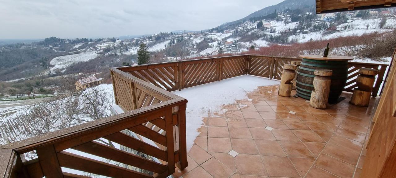 Villa Wine Panorama House à Jastrebarsko Extérieur photo