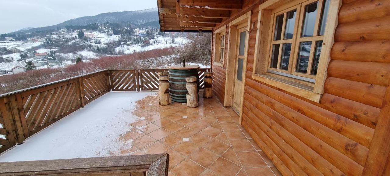 Villa Wine Panorama House à Jastrebarsko Extérieur photo
