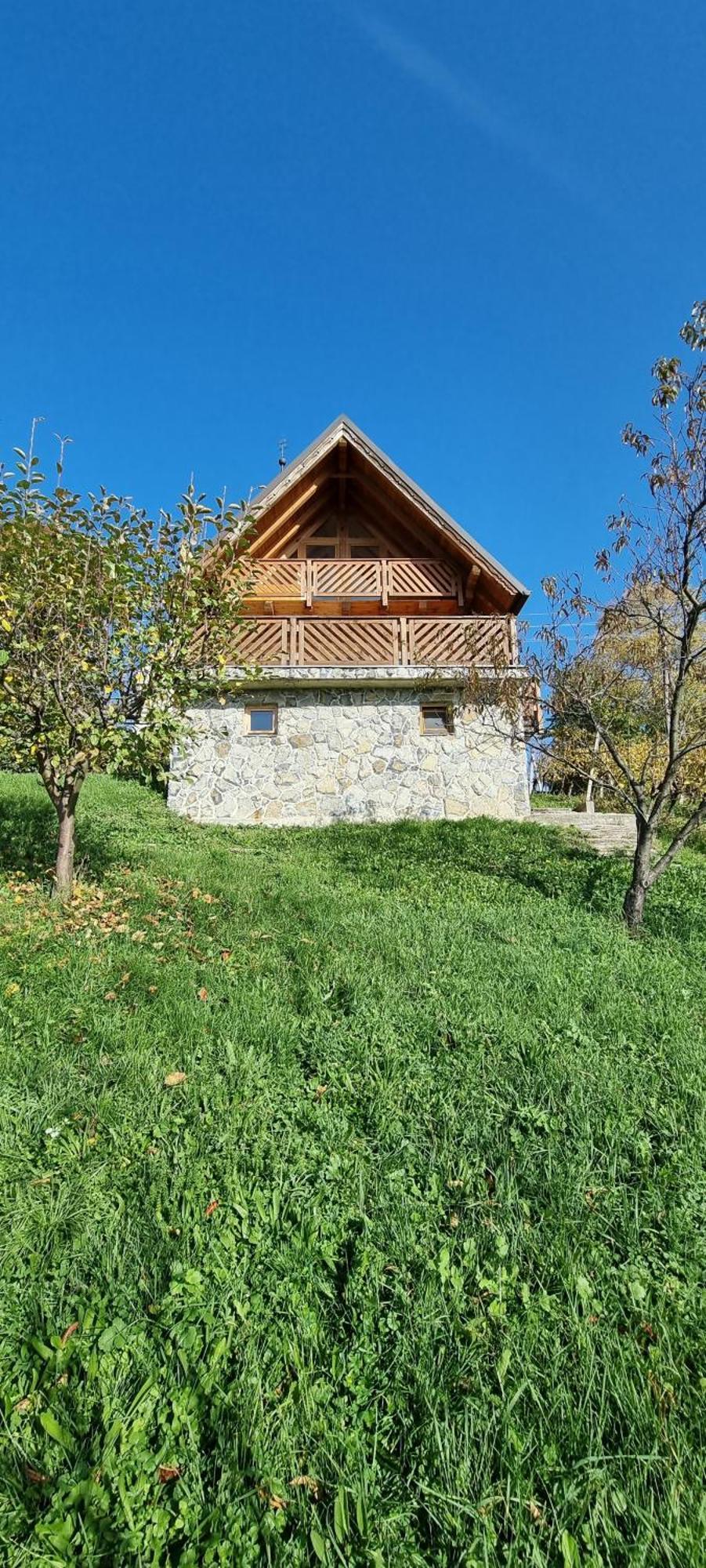 Villa Wine Panorama House à Jastrebarsko Extérieur photo